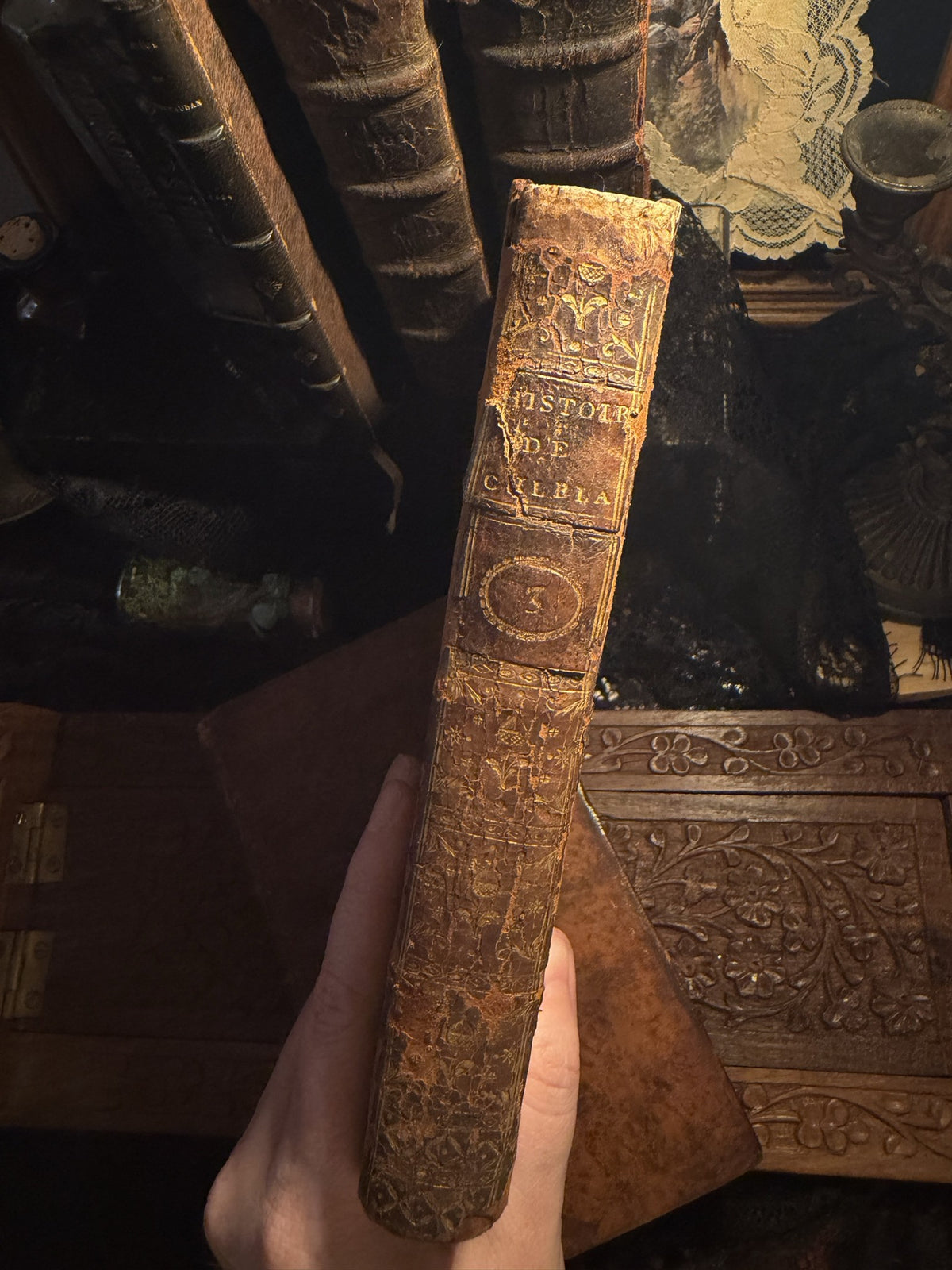 Gilt tooled spine of Histoire de Gil Blas de Santillane, Tome V, held in one hand, IM-0054