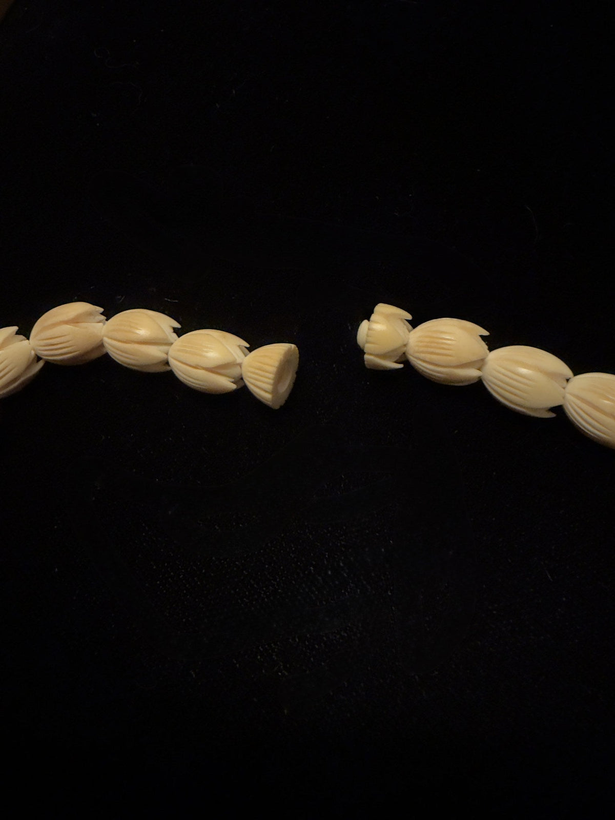 The bone barrel screw clasp of IM-0142, open, showing both halves